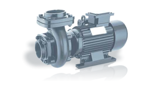 Industrial Monoblock Pump (Small)